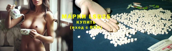 прущие грибы Аркадак