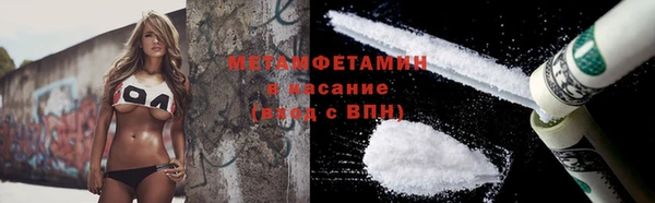 прущие грибы Аркадак